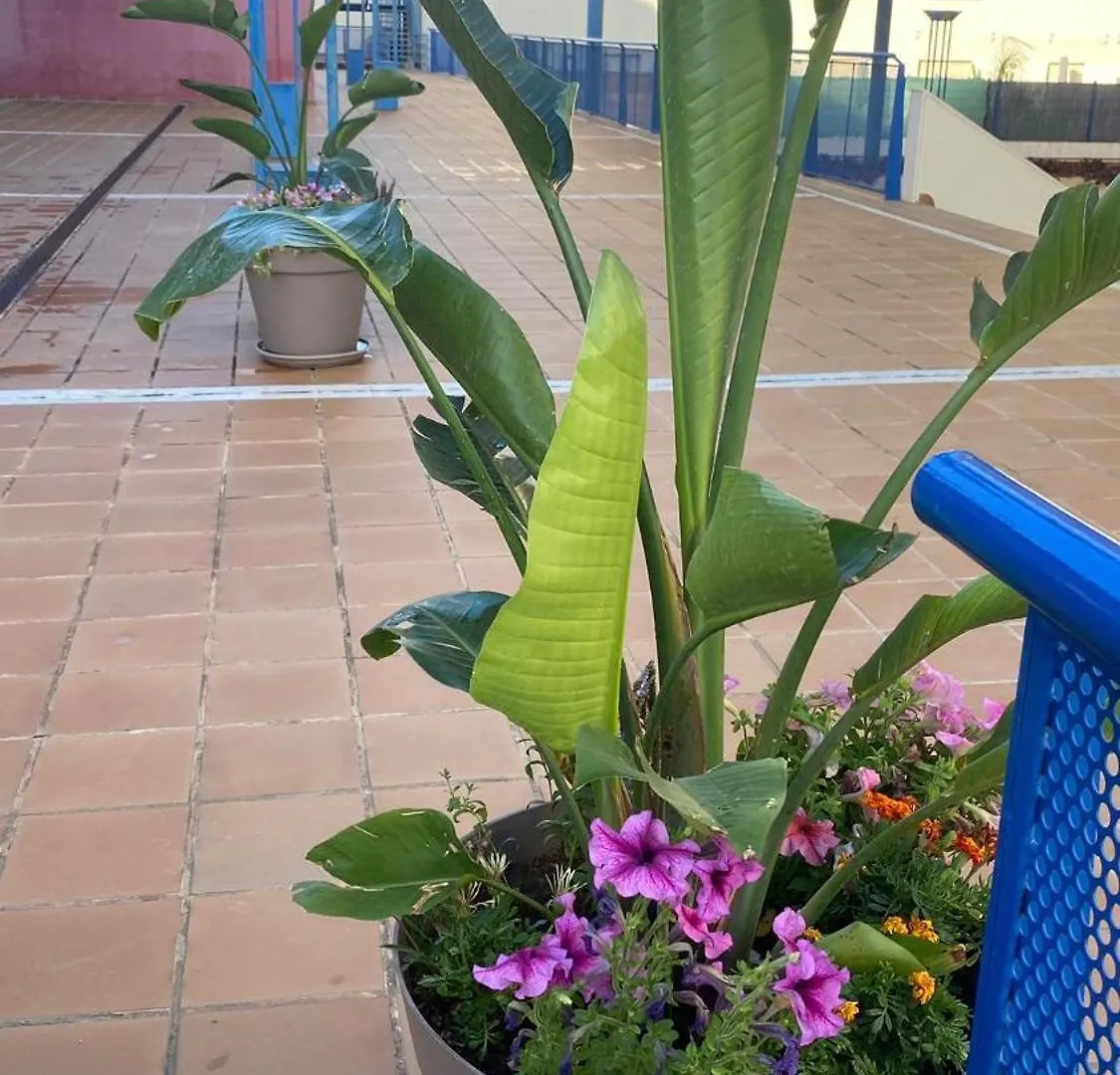 Apartamento Luxsevilla Moderno 1 Room Piscina Parking Bormujos España